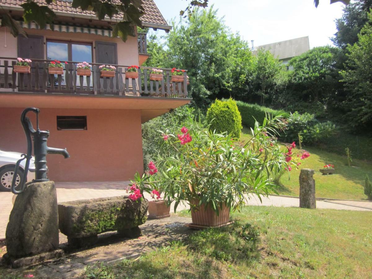 Chambres D'Hotes "Au Val Sejour" Alsace Saint-Martin  外观 照片