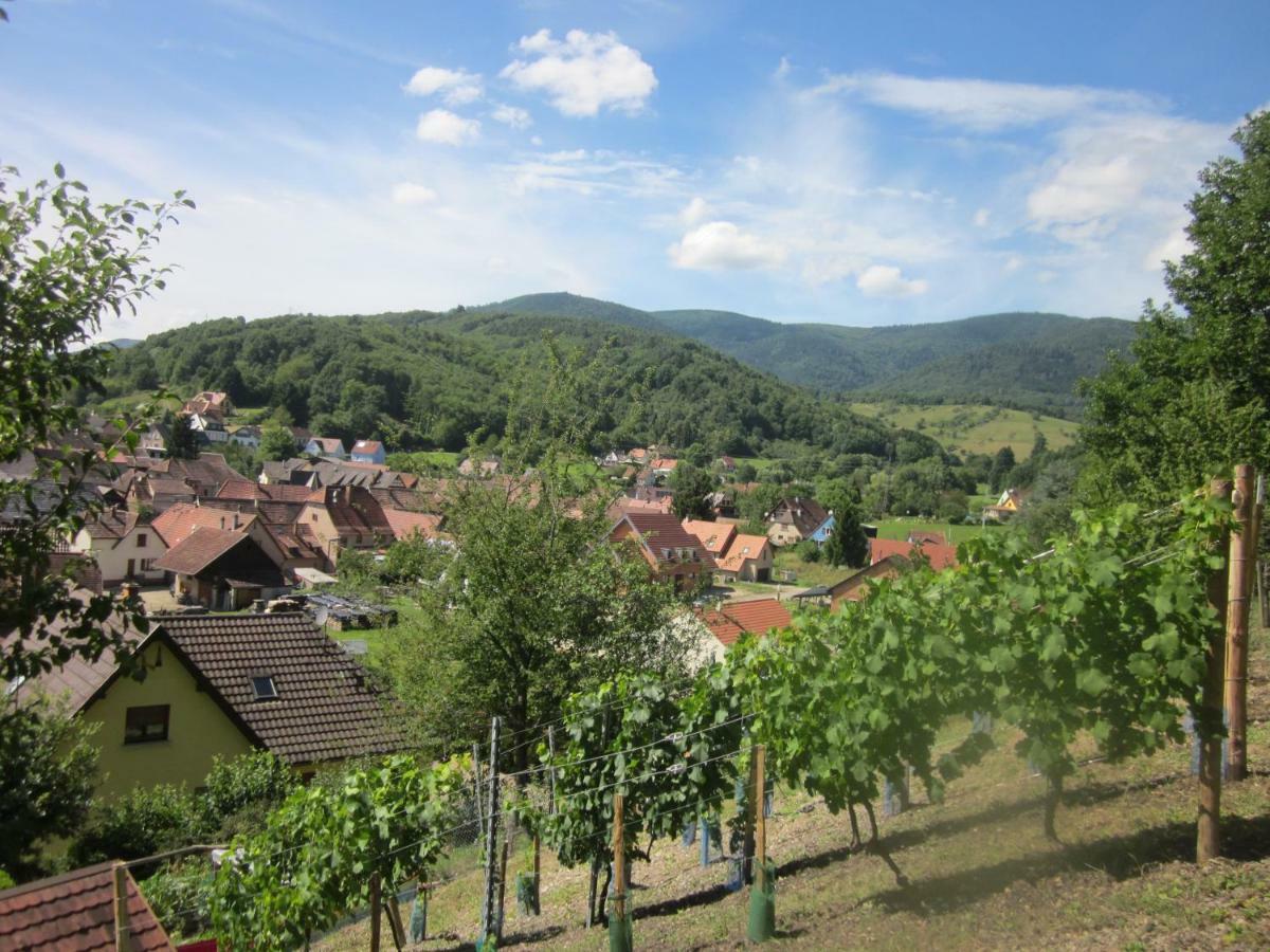 Chambres D'Hotes "Au Val Sejour" Alsace Saint-Martin  外观 照片